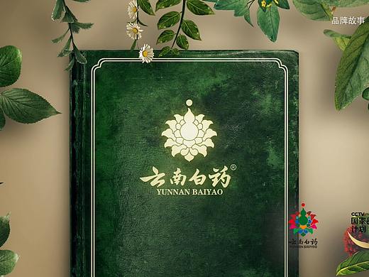 云南白药品牌故事