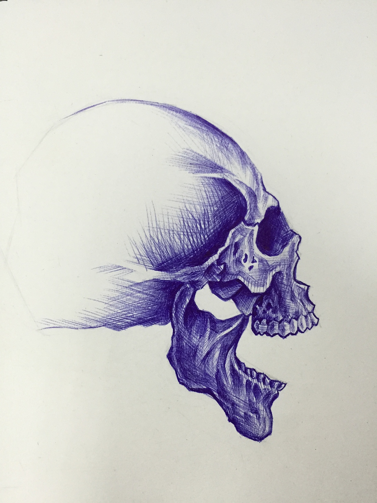 让时间停止一会 让思想飞一会 让纸张蓝一会(圆珠笔)|插画|新锐潮流