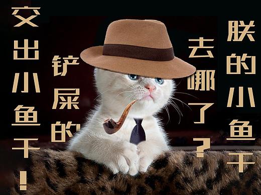 朕的小鱼干呢（个人主页-ZNjA5ODUyMTI=） - 其他平面 - 站酷设计师阿灼Zzz原创素材 - 站酷ZCOOL