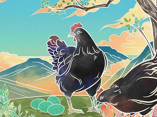 小生花蛋品牌-插画包装