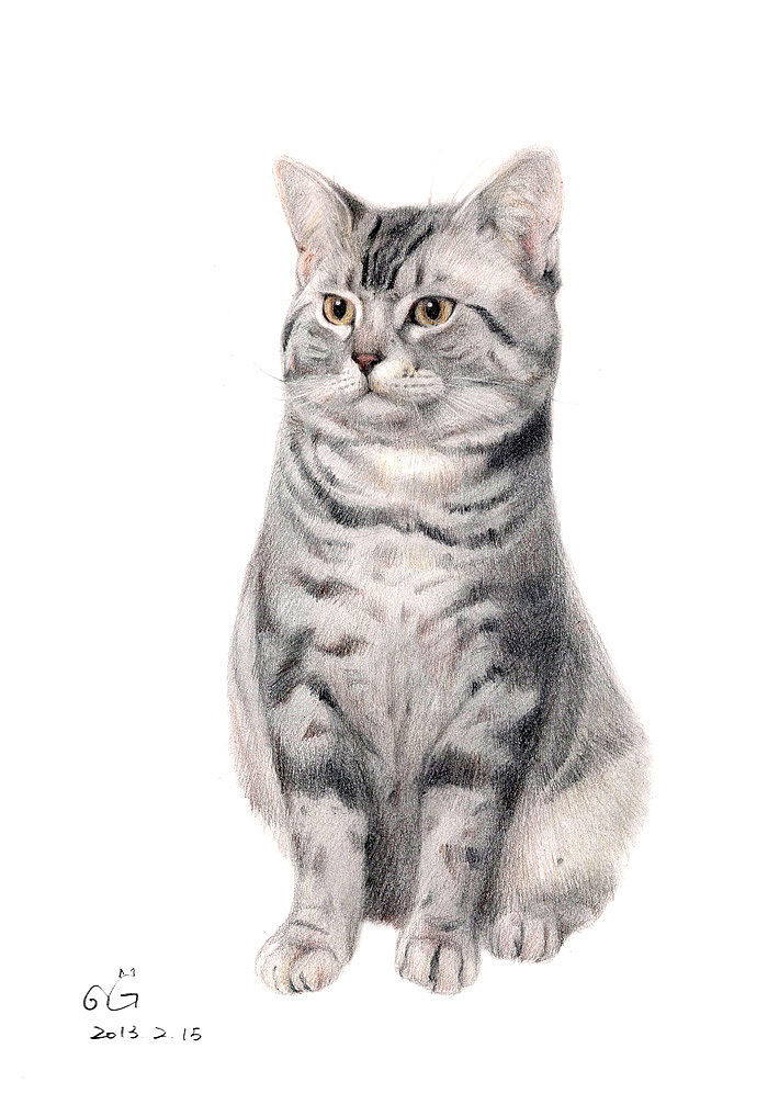 喵星人画像-第二季