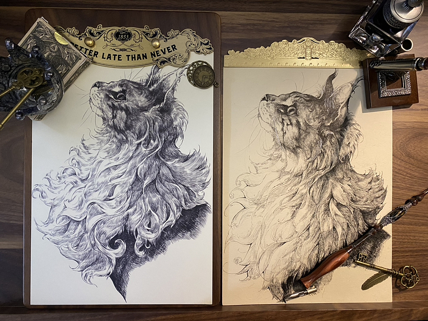 【ＤＫ】仰望星空✨