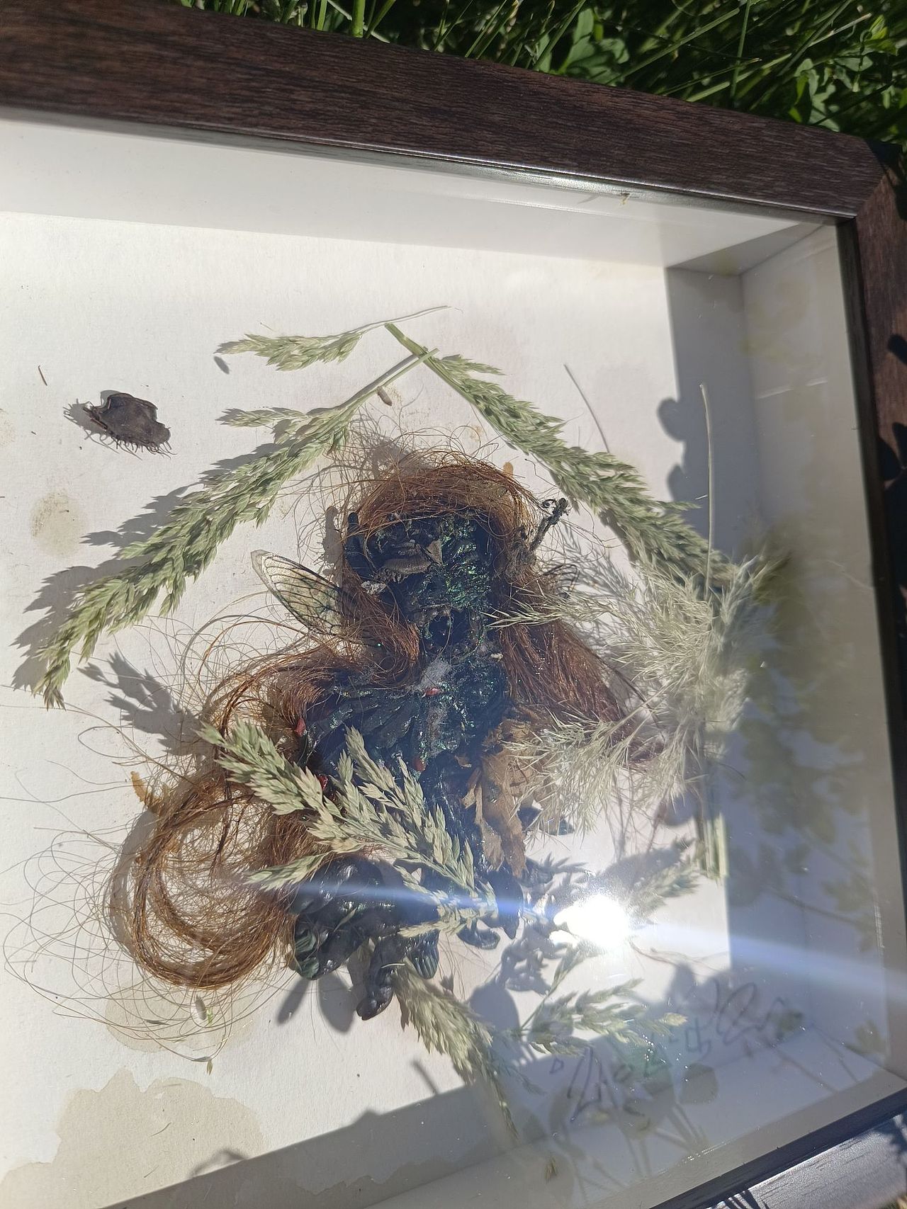 植物精灵相框