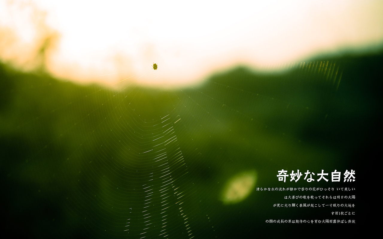日出，日落，星空，夜。（上集）（图ZMTE3NzM0MzY=） - 风光摄影 - 站酷设计师michaelpst原创素材 - 站酷ZCOOL