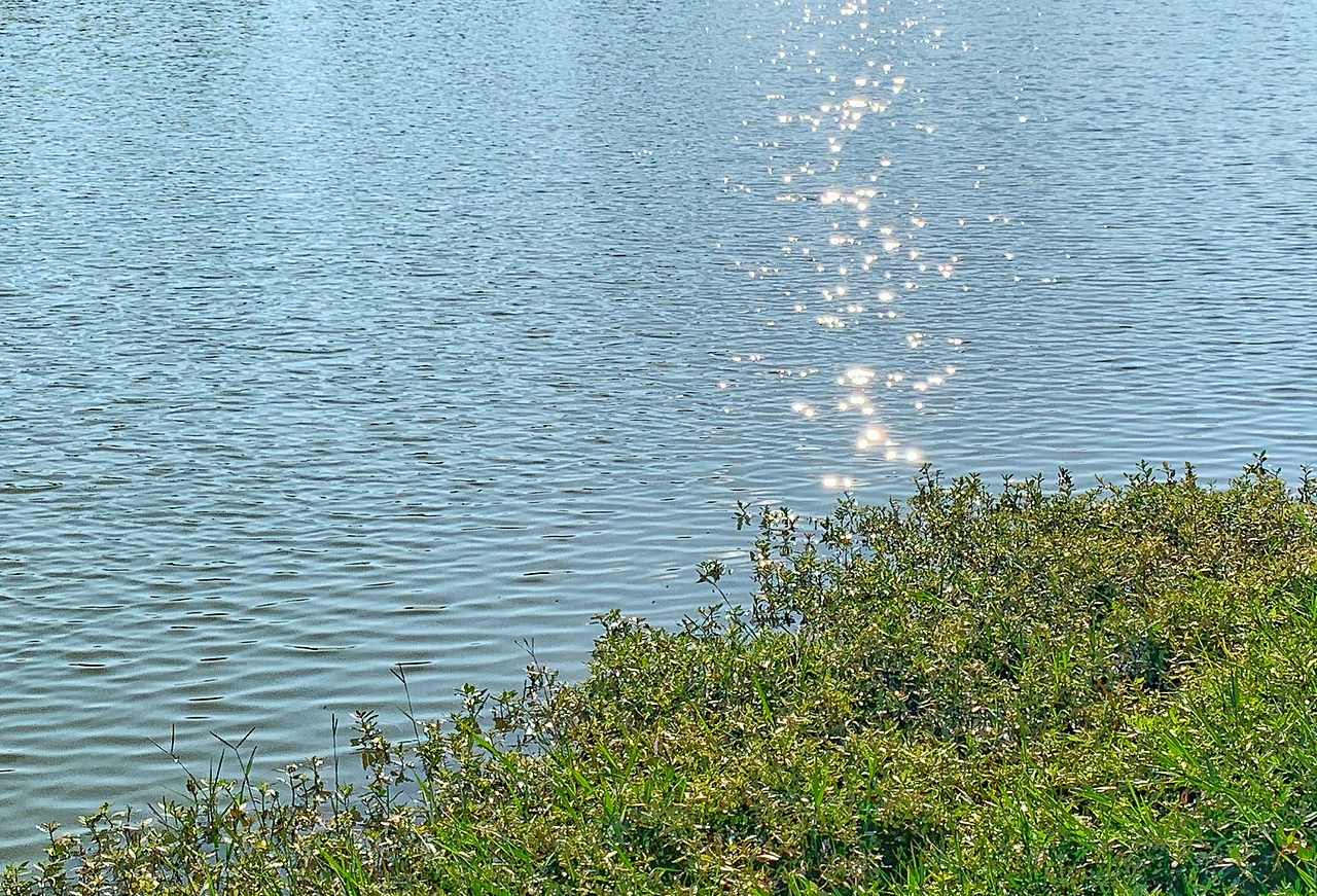 iPhone XR 样片拍摄 均用iPhone相册（图ZMTgyMDc4NDEy） - 人文/纪实摄影 - 站酷设计师摄影师小朱原创素材 - 站酷ZCOOL