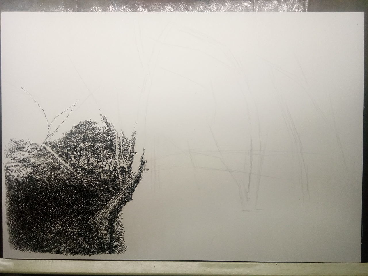 小尺寸的精细钢笔画风景