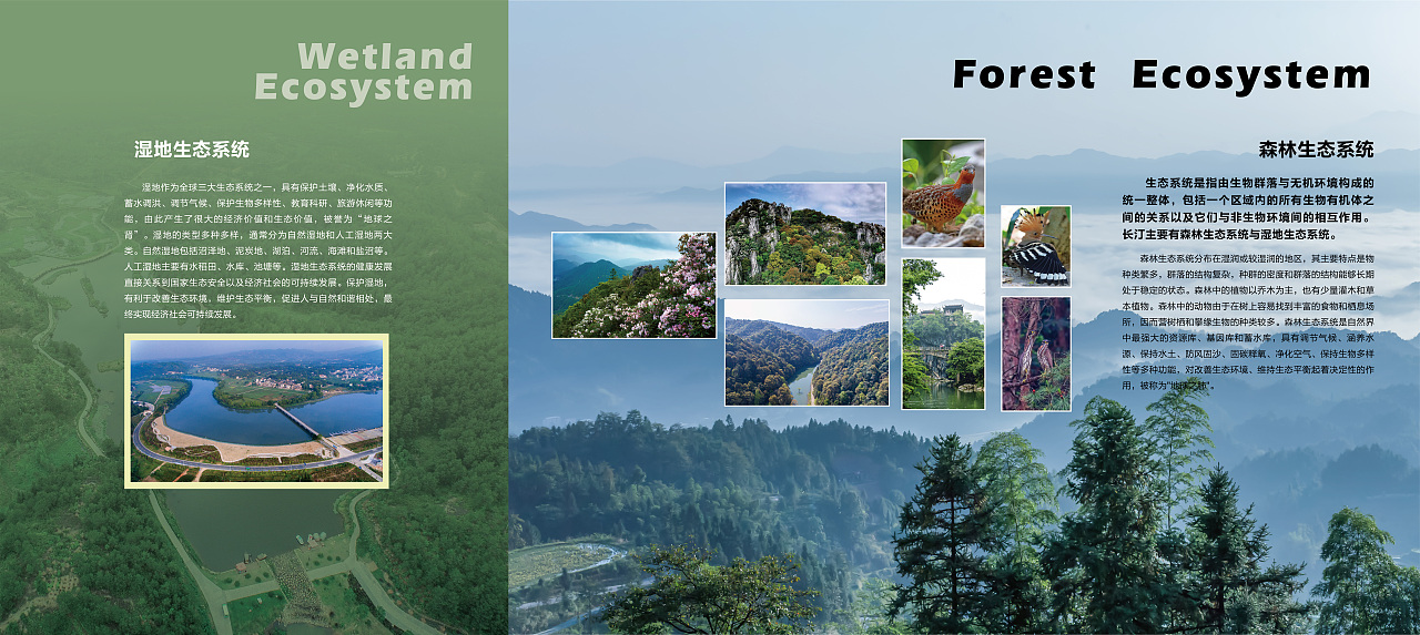 汀江源自然教育馆（图ZMjcyMTg4MjE2） - 其他平面 - 站酷设计师酷酷的大沈原创素材 - 站酷ZCOOL