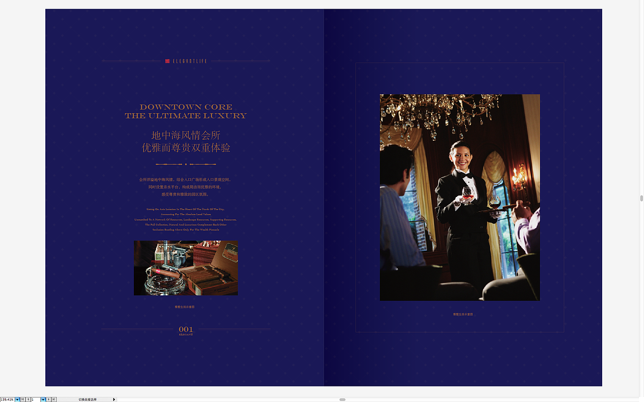 雅墅楼书（图ZMjI0OTY4NjA4） - 书籍/画册 - 站酷设计师雾世AIGC原创素材 - 站酷ZCOOL