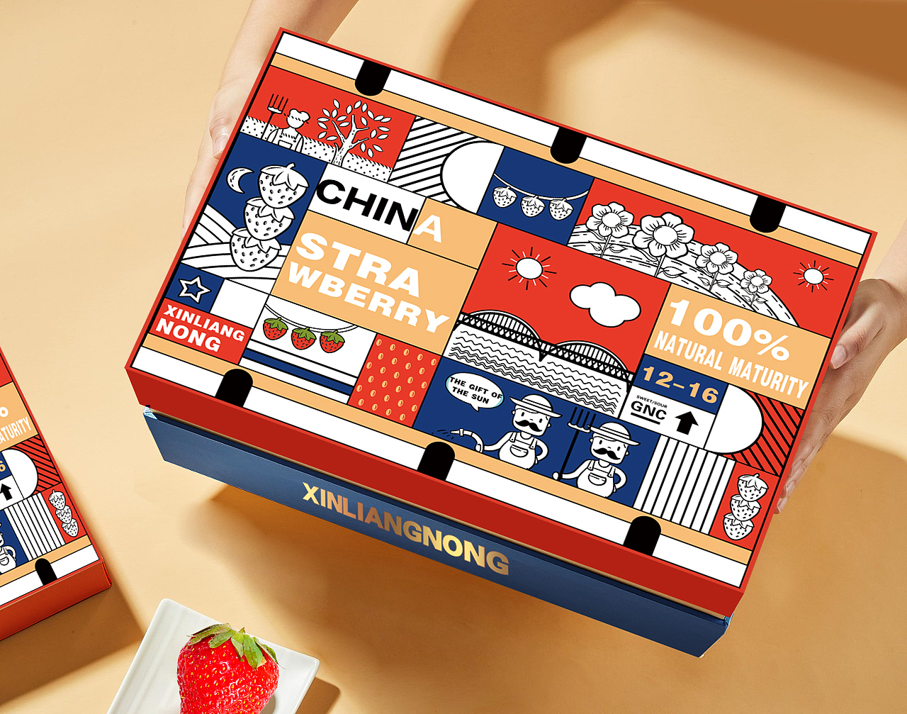《辛良农草莓礼盒》