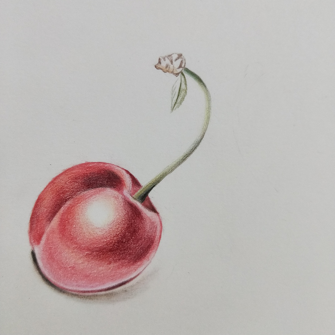 深入刻画,暗部更深,强化阴影。