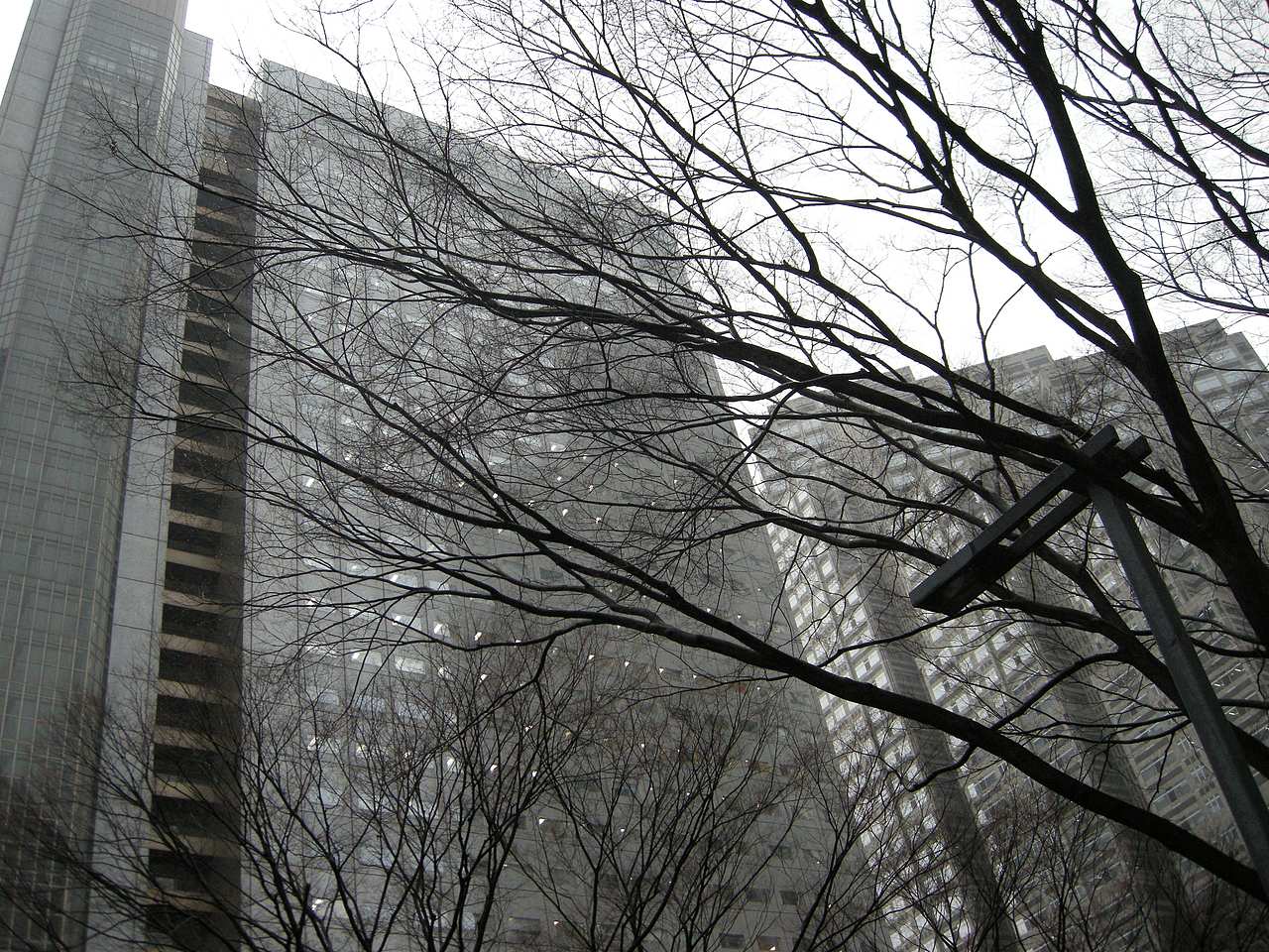 霓虹，霓虹一路