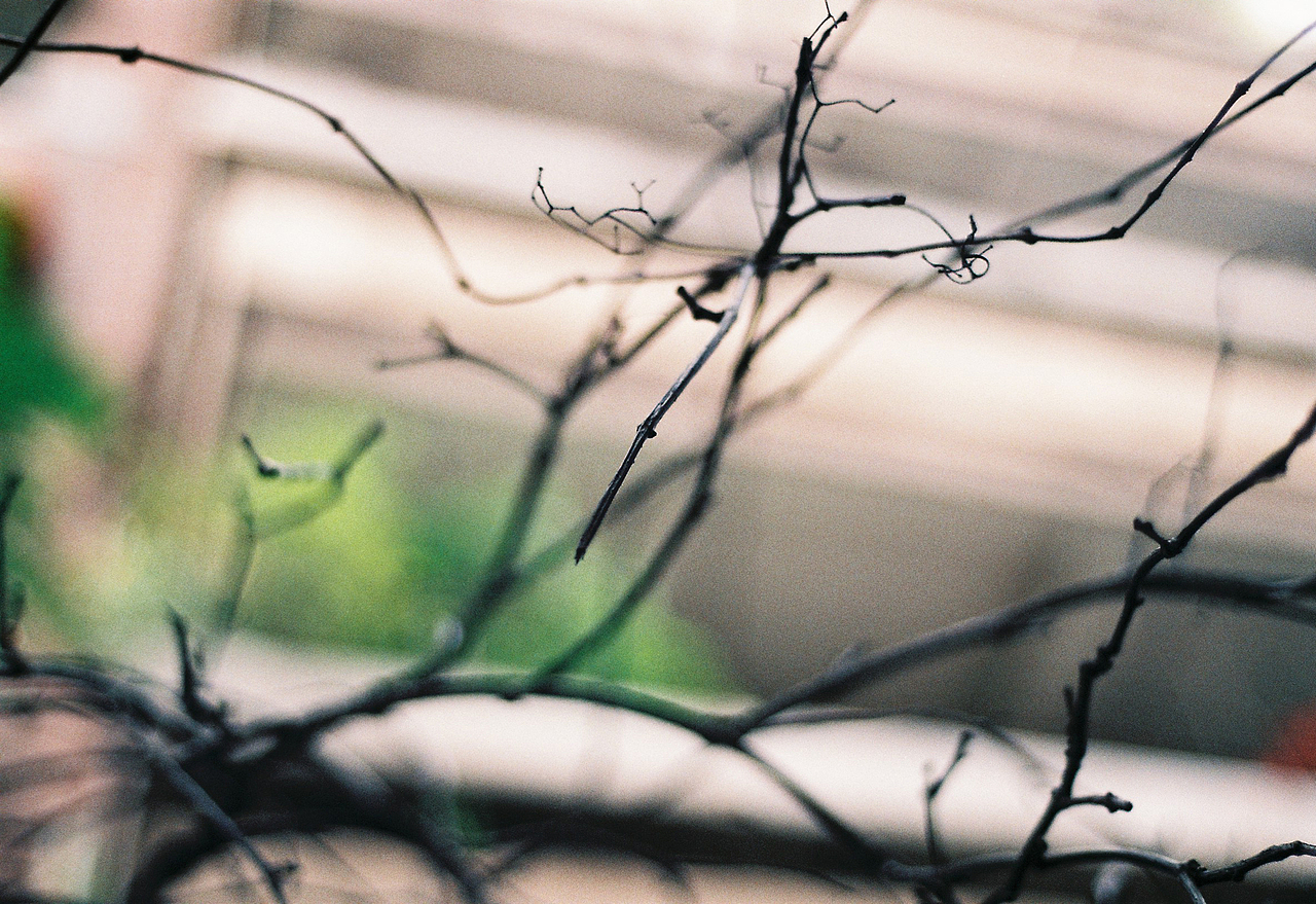 吴熙玮和他的胶片