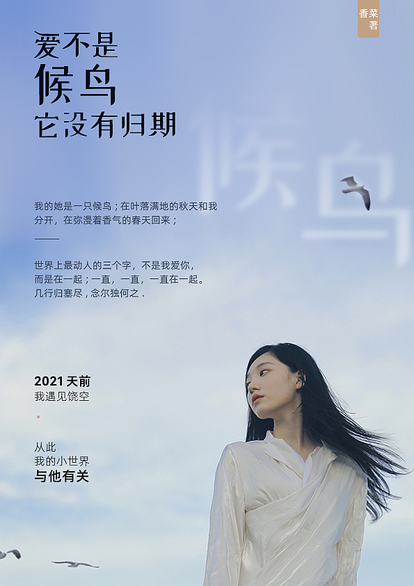 候鸟没有归期（图ZMjczOTA3OTE2） - 海报 - 站酷设计师咿呀噜~原创素材 - 站酷ZCOOL