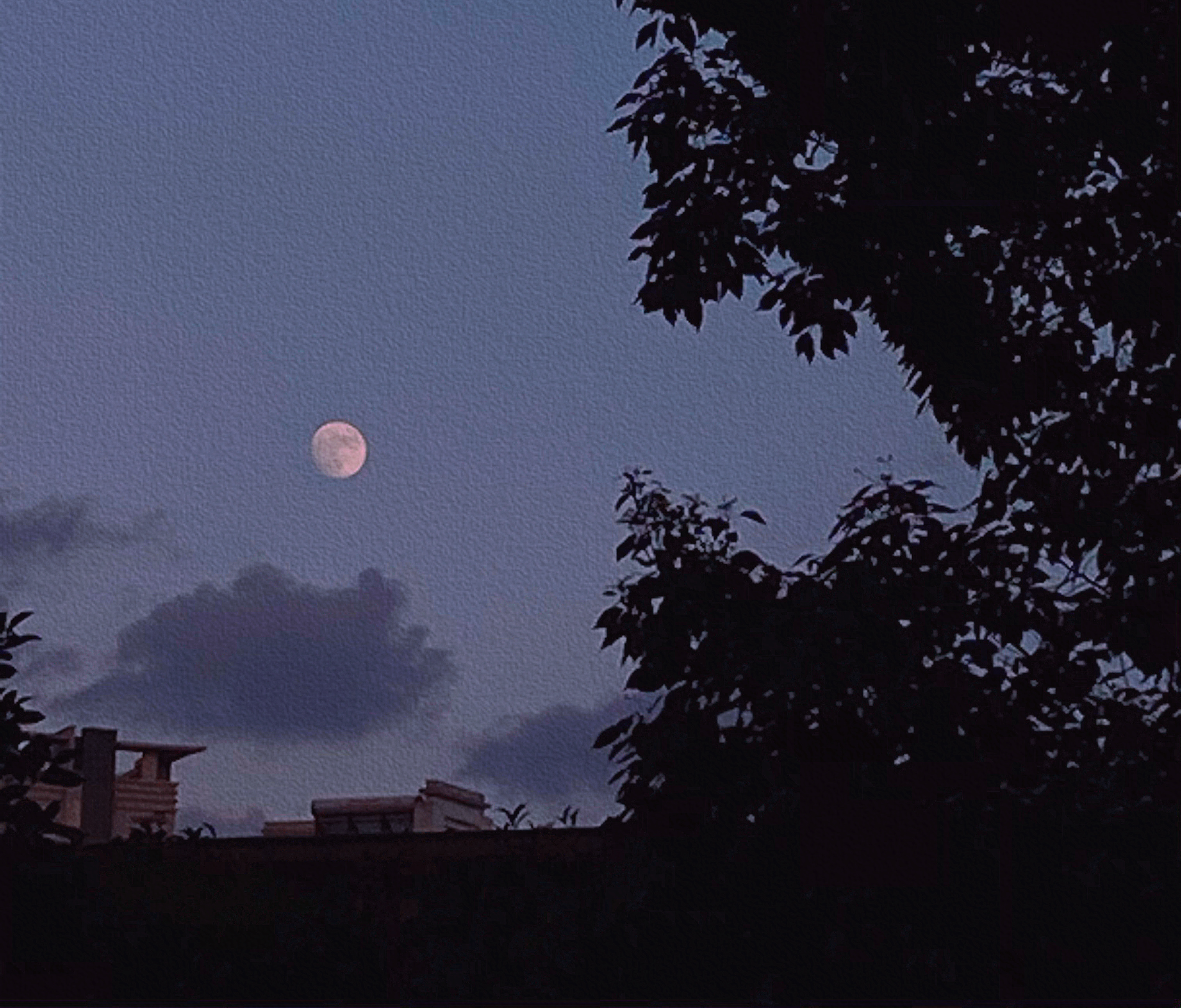 Limoo_的個人主頁（封面預覽） - 主頁封面設置 - 站酷設計師Limoo_原創(chuàng)素材 - 站酷ZCOOL