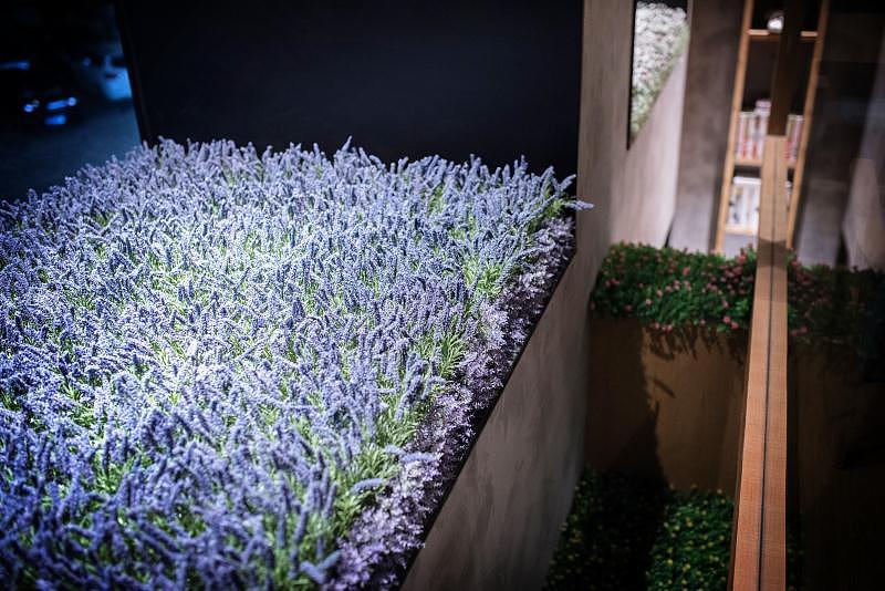 杨小宝捞烫实景图