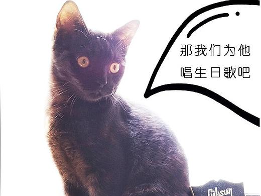 《猫咪通话》父亲节