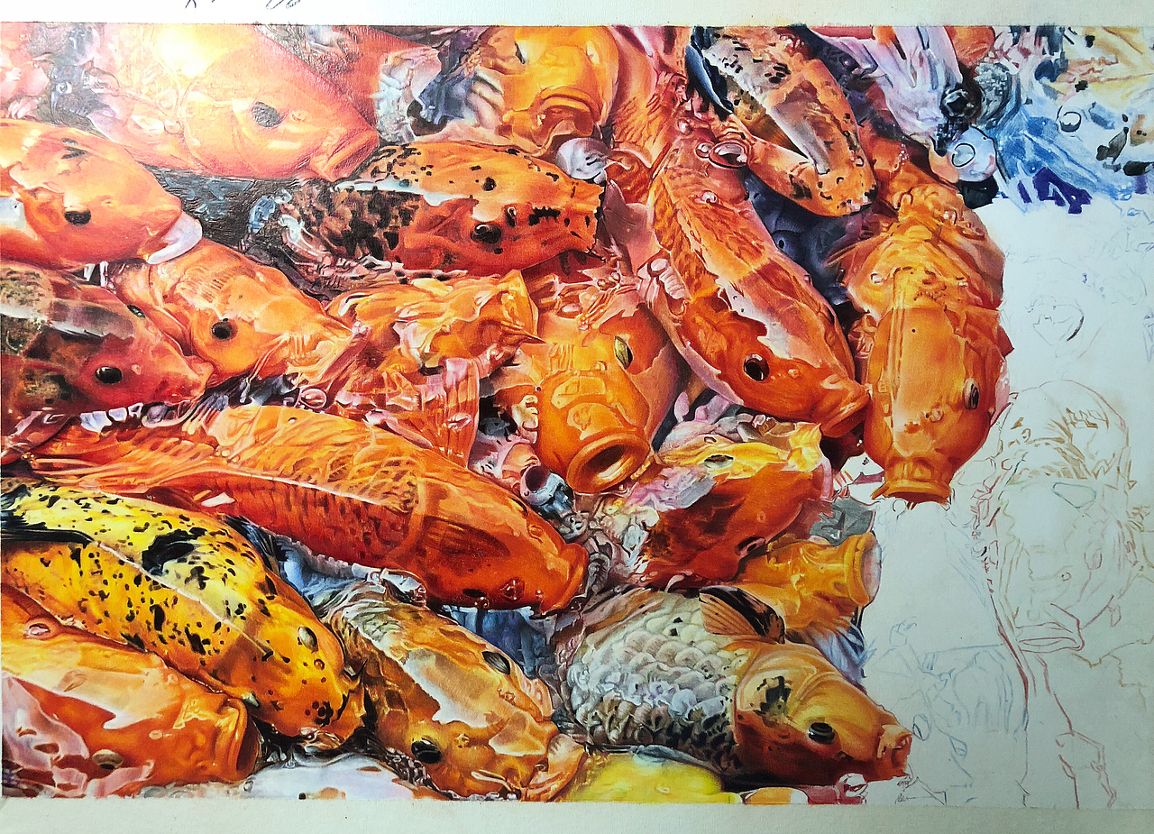 彩铅作品《彩鲤》（图ZMTMwMzA3NTk2） - 创作习作 - 站酷设计师傅海嘉原创素材 - 站酷ZCOOL