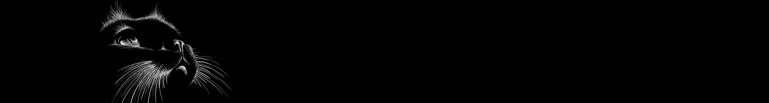 走雪的個(gè)人主頁(yè)（封面預(yù)覽） - 主頁(yè)封面設(shè)置 - 站酷設(shè)計(jì)師走雪原創(chuàng)素材 - 站酷ZCOOL