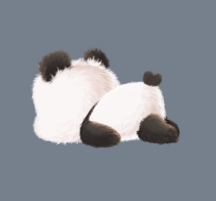 熊猫系列形象设计