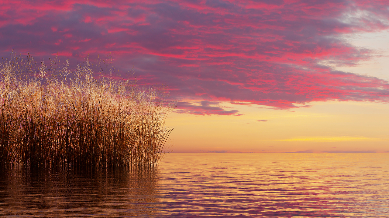 Shadow Series wallpapers（图ZMzU5ODAxOTY4） - 闪屏/壁纸 - 站酷设计师米夏小雨原创素材 - 站酷ZCOOL