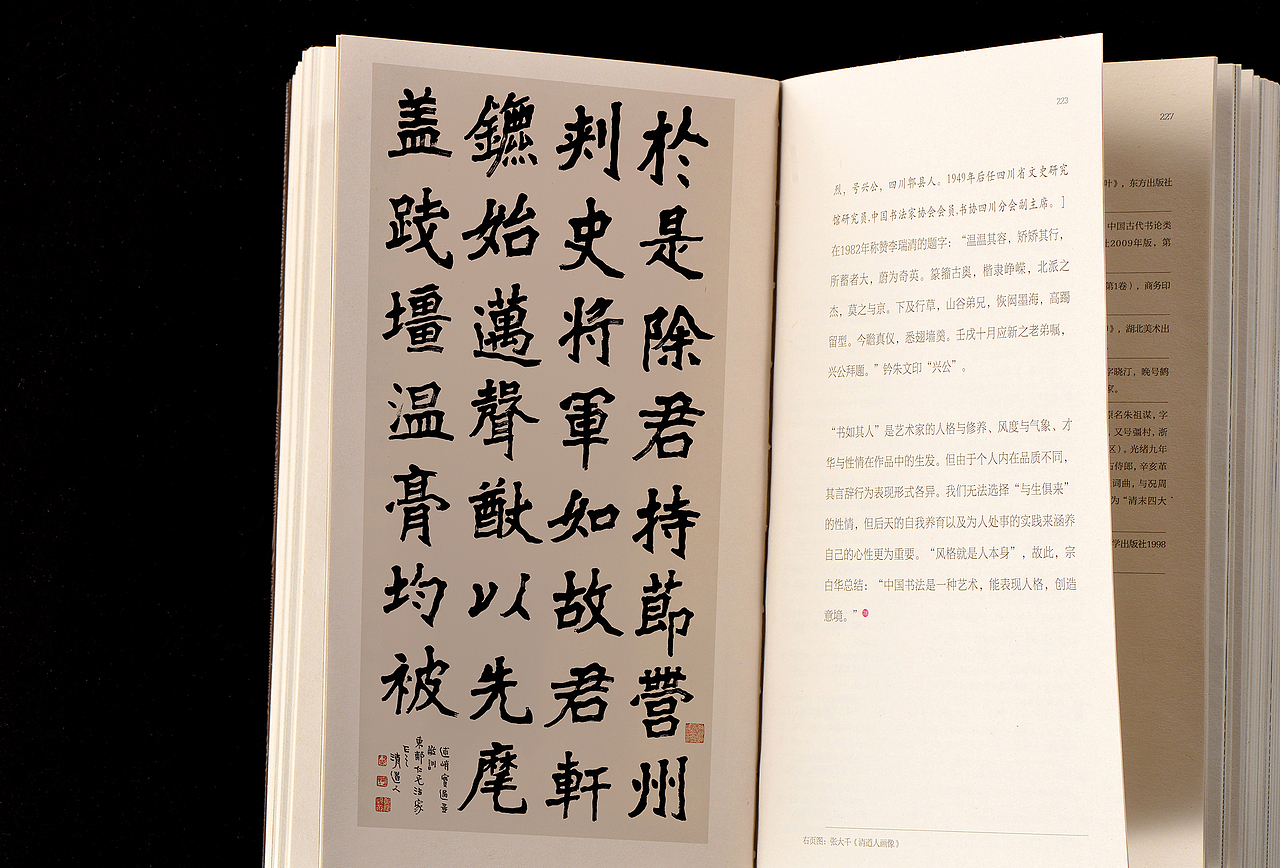 《金石万象：李瑞清的书学艺术》（图ZMzY1NzQxMzU2） - 书籍/画册 - 站酷设计师犀燭書坊原创素材 - 站酷ZCOOL