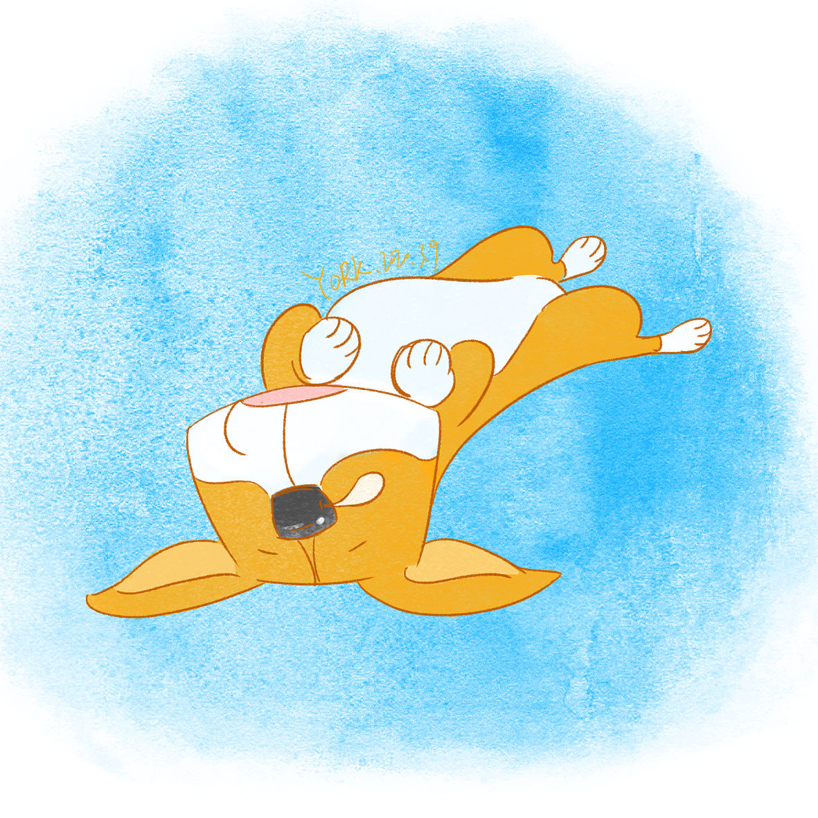 可爱的小柯基|插画|商业插画|有只喜欢狮子的猫 - 原创作品 - 站酷