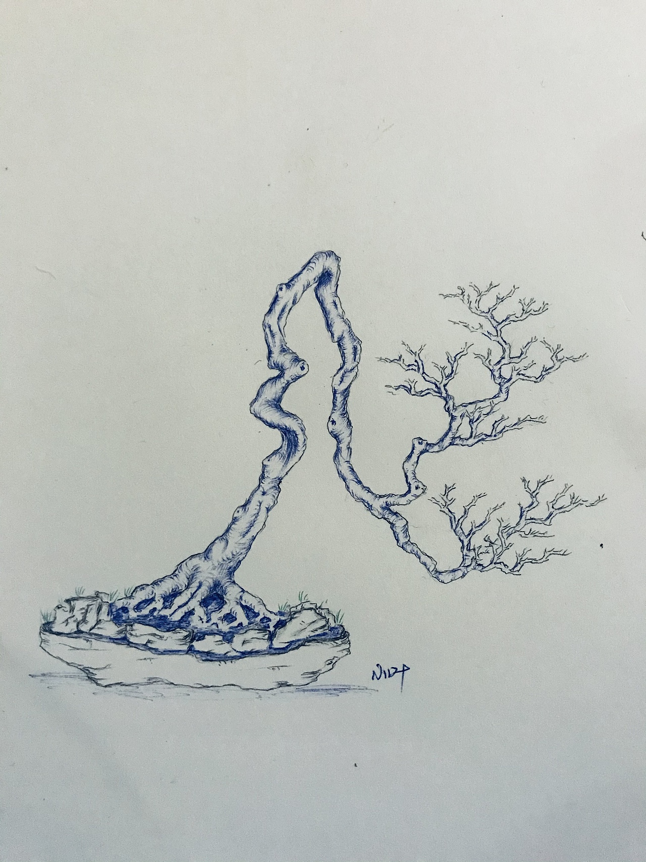 盆景（图ZMjUzMzMyNzcy） - 绘画 - 站酷设计师Z75835907原创素材 - 站酷ZCOOL