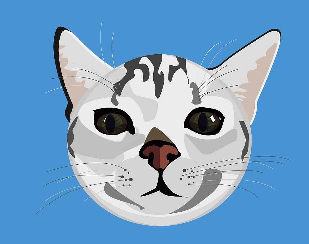 可爱的你们（图ZOTQxOTc3MjQ=） - 艺术插画 - 站酷设计师Siyo垚原创素材 - 站酷ZCOOL