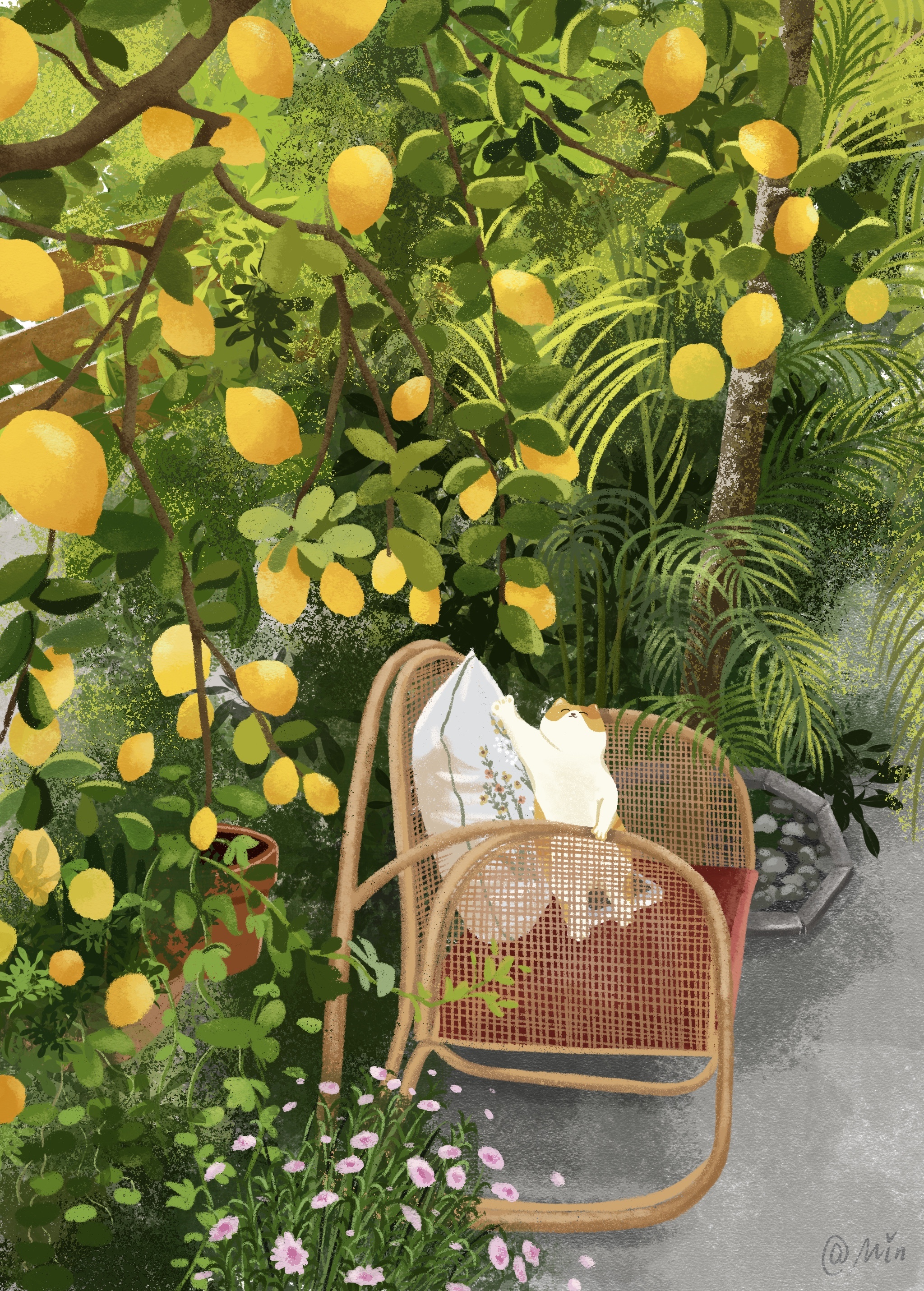治愈插画lemon tree