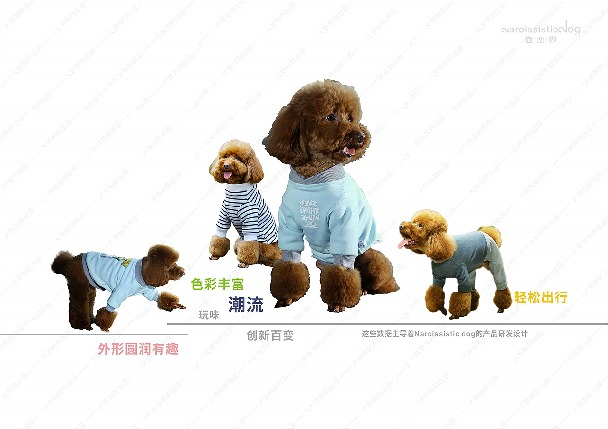 宠物服装产品 服装类宣传册排版