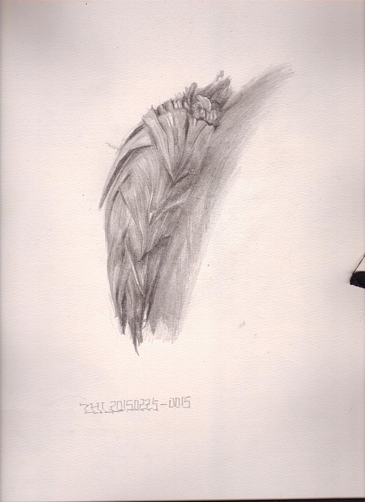 2015春节写生绘画本