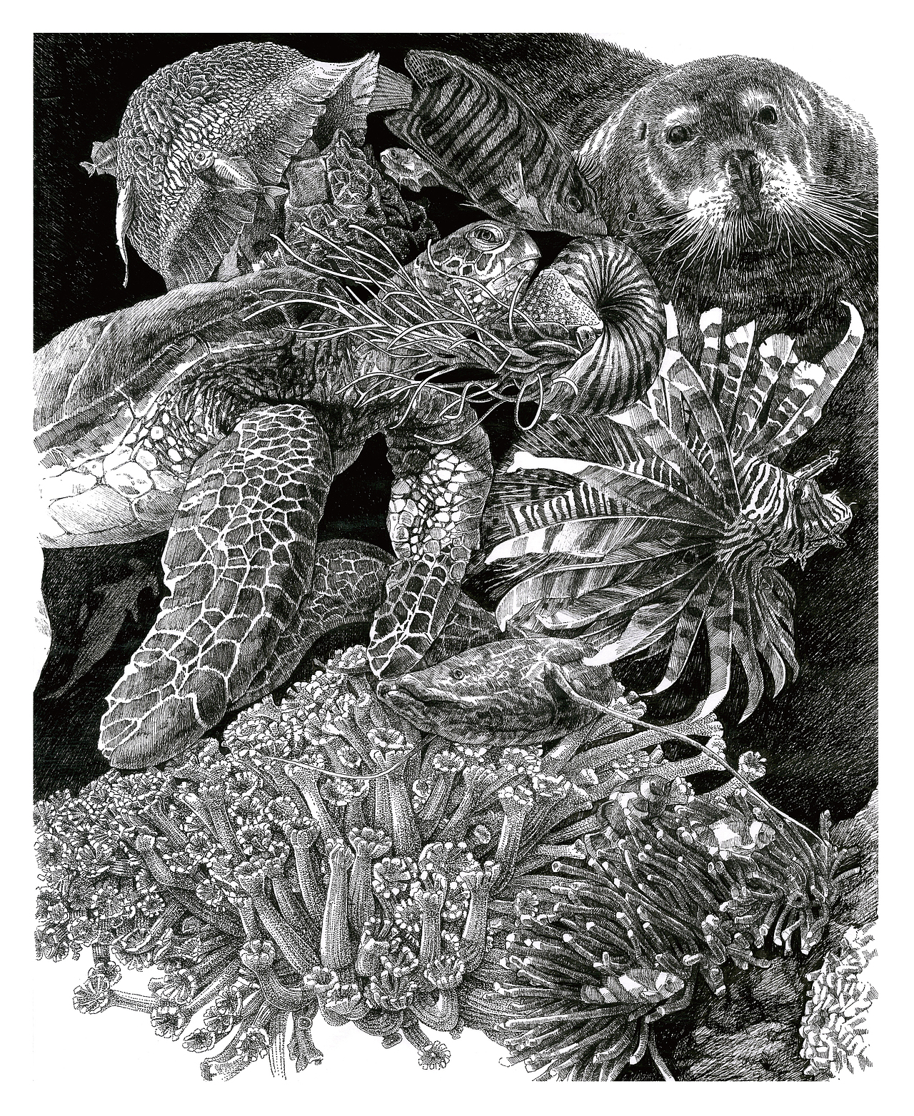 非洲的伪装之海