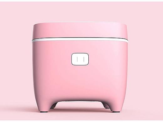 格力小猪电饭煲