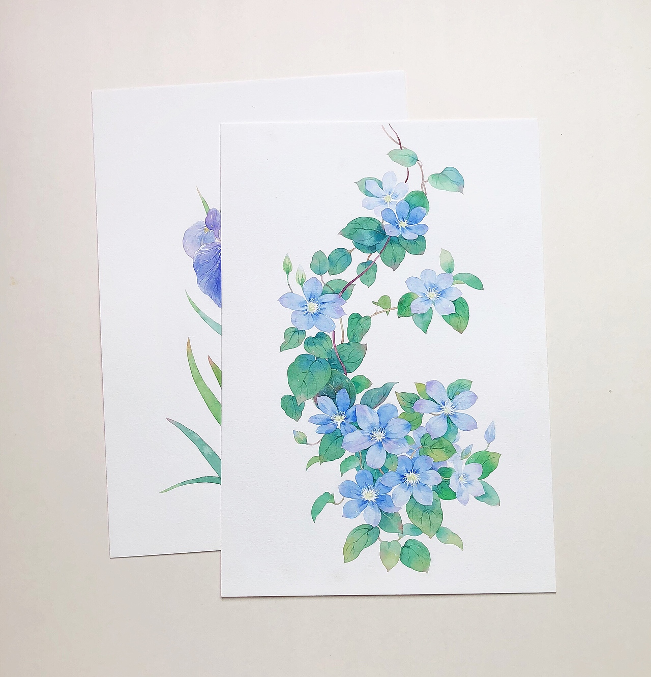 水彩手绘 植物花卉（图ZMTY4ODg3ODQ0） - 绘画 - 站酷设计师山子莓原创素材 - 站酷ZCOOL