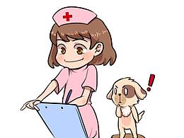 护士