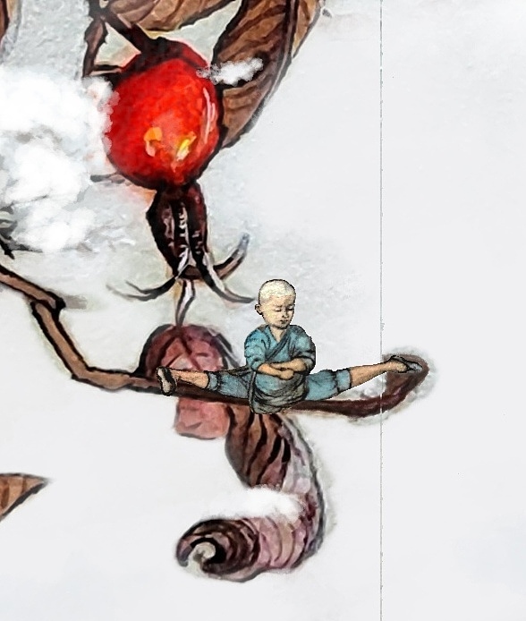 大雪-24节气（图ZMzM0MjU4NjQ0） - 艺术插画 - 站酷设计师学手绘的小苹盖原创素材 - 站酷ZCOOL