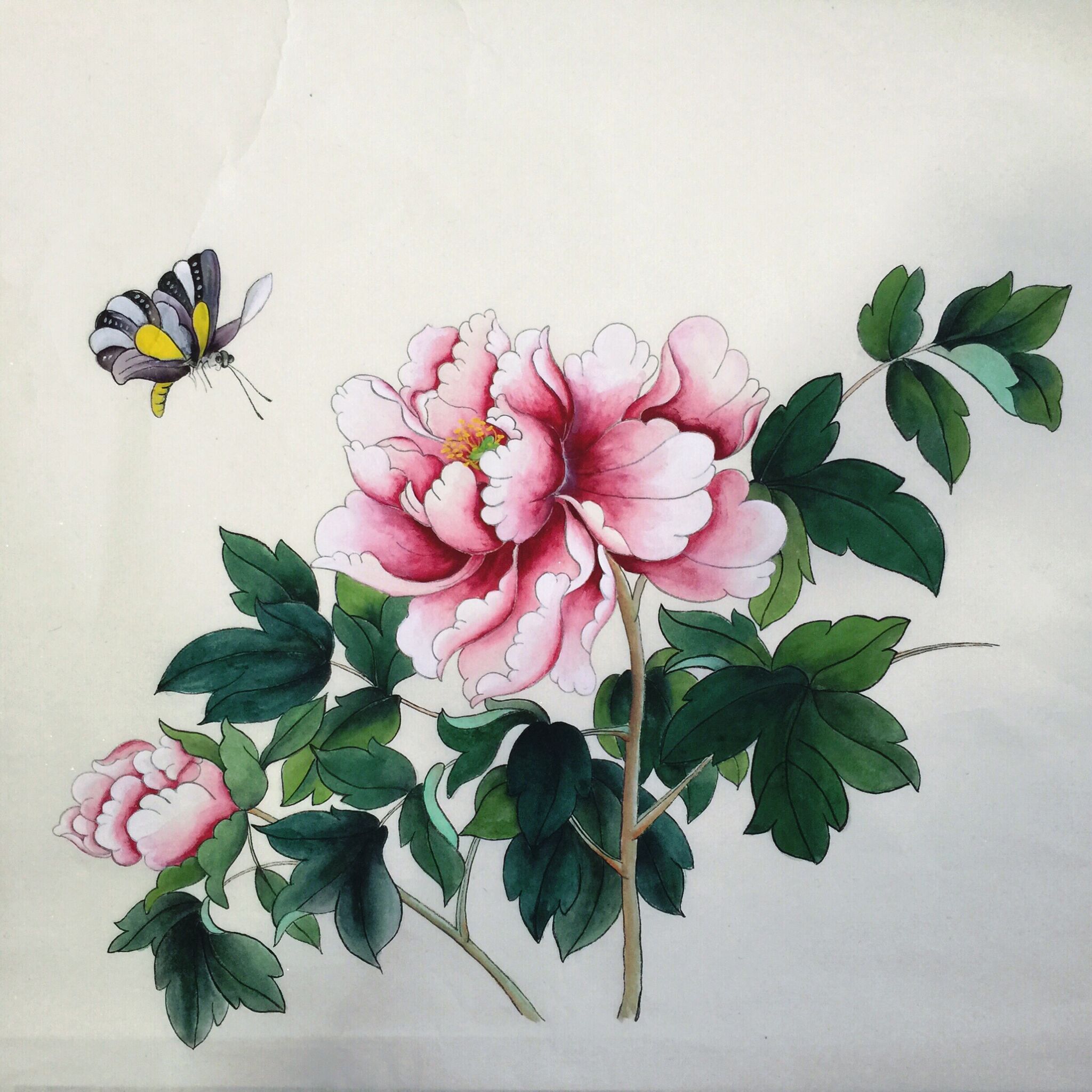 国画 牡丹 工笔画 |纯艺术|绘画|豆子不是豆浆 - 原创作品 - 站酷