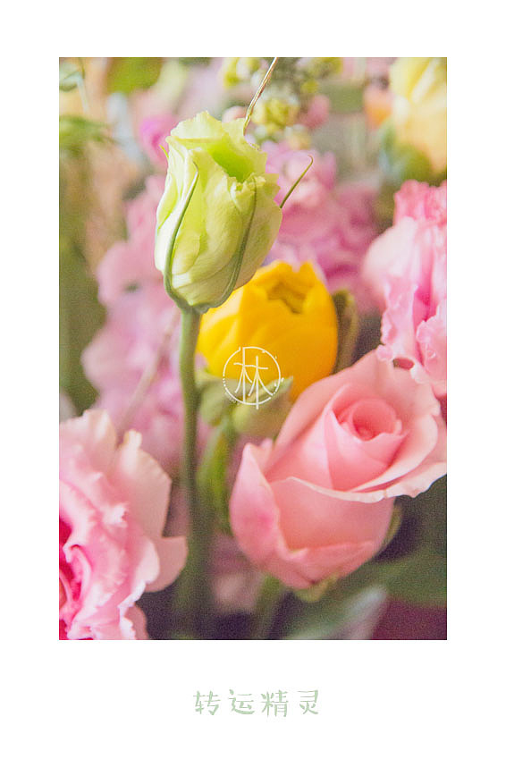 【二月静物拍摄】春之转运精灵（图ZMTA3NDU5MzMy） - 产品摄影 - 站酷设计师咖不哩原创素材 - 站酷ZCOOL