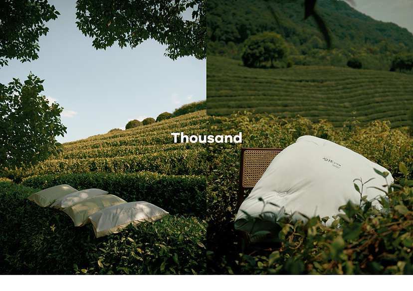 家纺拍摄|茶园人文系列!