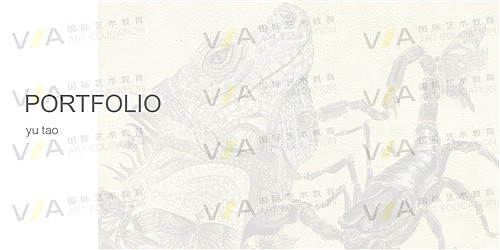 VA国际艺术教育插画专业作品集辅导