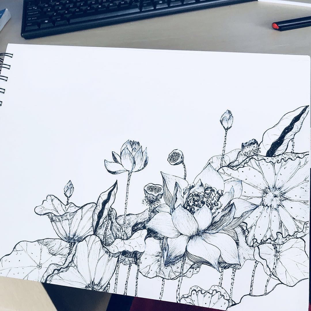 钢笔速写🌸花卉|纯艺术|绘画|Hiroshi阳阳阳 - 原创作品 - 站酷 (ZCOOL)