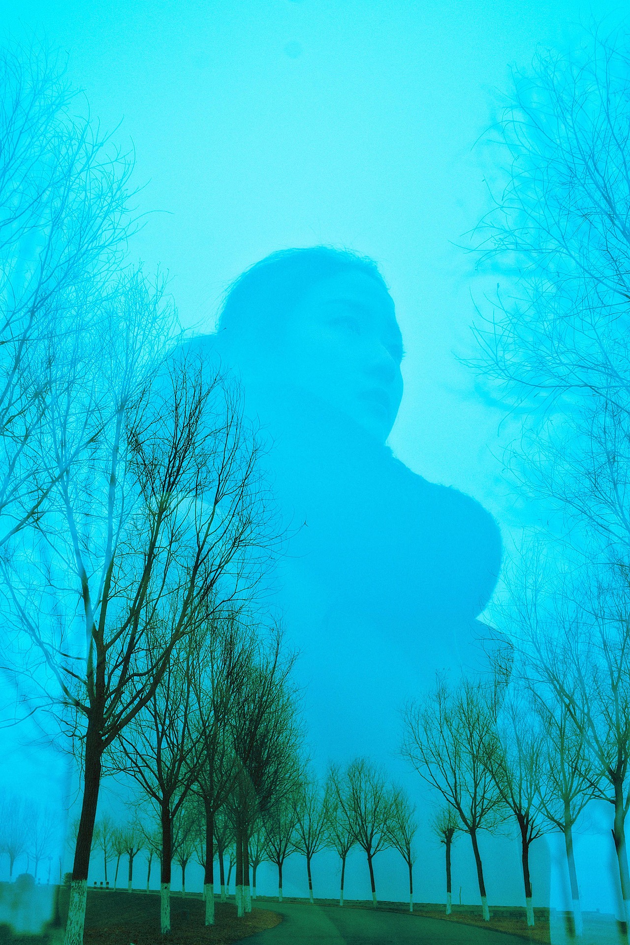 这个冬天会不会冷