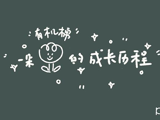 有机棉宣传动画