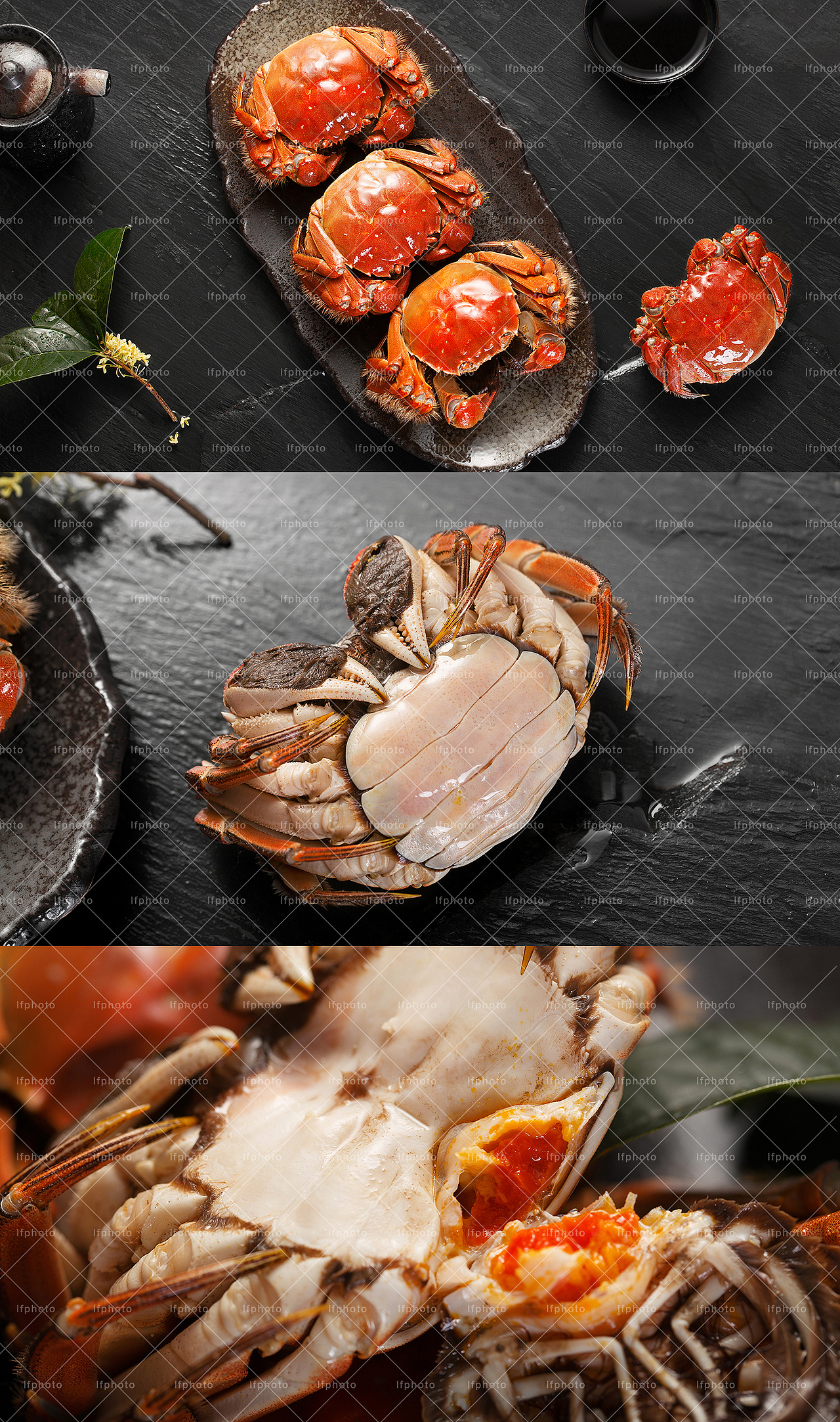 近期大闸蟹拍摄合集（图ZMTMzMzI1Mjg0） - 产品摄影 - 站酷设计师超斯商业摄影原创素材 - 站酷ZCOOL