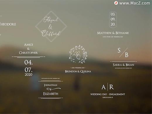 Premiere模板-10组浪漫小清新婚礼文字标题动画 Wedding Titles
