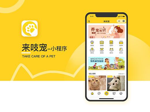 吱寵-微信小程序（個人主頁-ZMzkyNjM0MDg=） - APP界面 - 站酷設計師你tm才美工原創(chuàng)素材 - 站酷ZCOOL