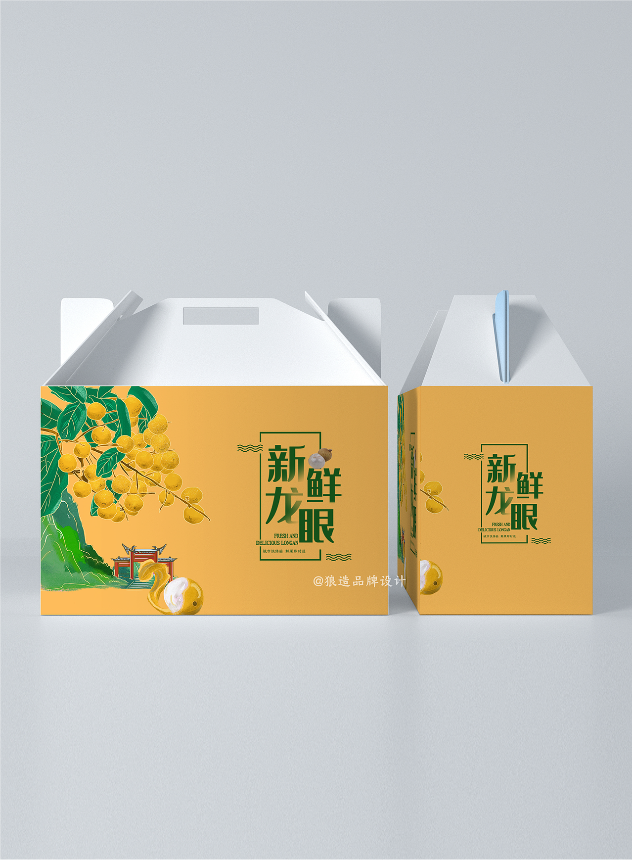 厦门水果插画包装设计