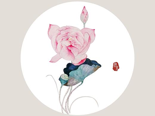 水彩-莲2