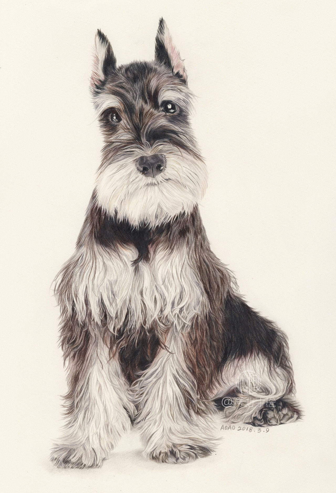 三只小型犬-阿沁作品（图ZMTEwOTYzNzAw） - 绘画 - 站酷设计师煜芮原创素材 - 站酷ZCOOL