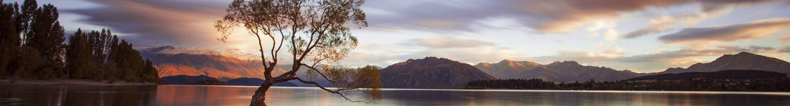 一筐猪猪的个人主页（封面预览） - 主页封面设置 - 站酷设计师一筐猪猪原创素材 - 站酷ZCOOL